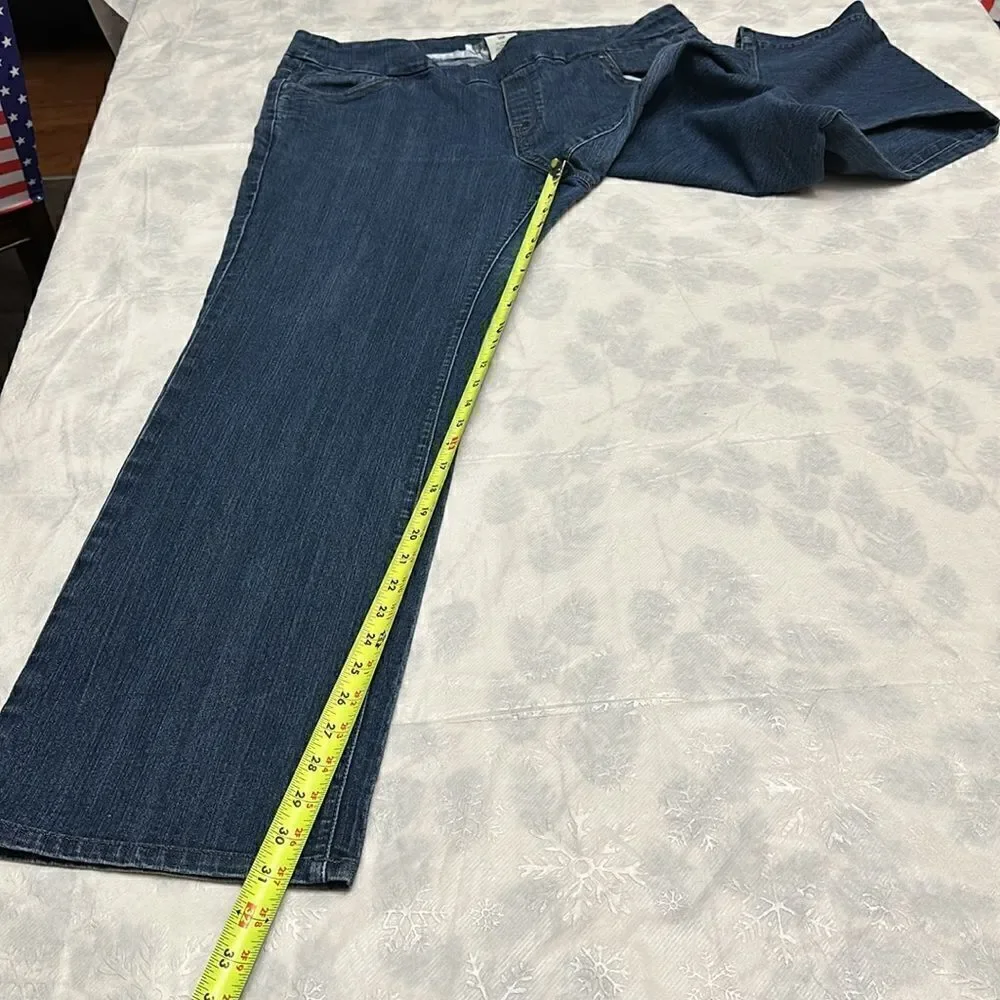 Blueberry women’s denim jeans with elastic waist size 16W